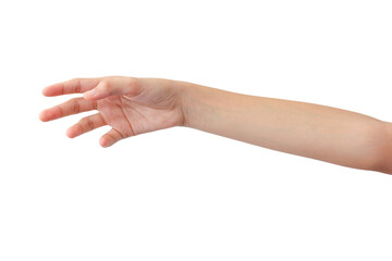 young woman's hands in beautiful poses on white background