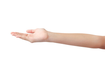young woman's hands in beautiful poses on white background