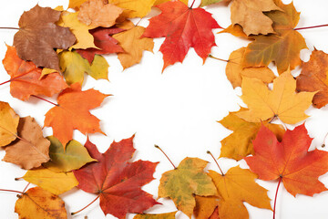 Vibrant autumn maple leaves in warm tones of orange, red and brown with curled edges, naturally piled with textured layers on white background, fall foliage concept