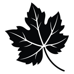 Fototapeta premium vine leaf vector icon