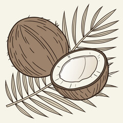 Whole and halved coconut with palm leaves tropical