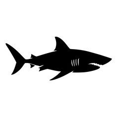 shark vector illustration