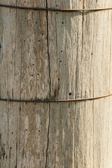 old wood texture of fence post
