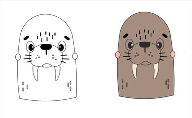 Obraz premium Adorable walrus illustration for kids. Set includes a black and white coloring page and a fully colored version. Perfect for children’s activities, printable worksheets, education materials, and nurse