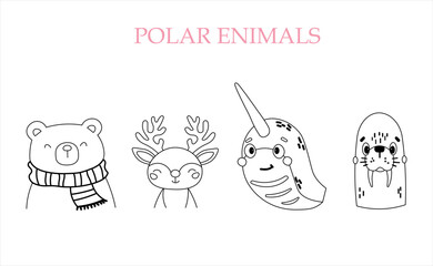 Hand drawn outline illustration of polar animals: bear, deer, narwhal and walrus. Cute cartoon Arctic wildlife set for kids coloring pages, posters, stickers and design projects.