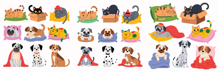Fototapeta premium Cartoon Cats and Dogs Resting on Colorful Pillows and in a Box, Illustration
