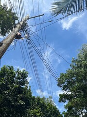 Obraz premium Electric pole with power lines against clear blue sky and green trees, rural energy infrastructure in natural landscape, countryside electricity connection with scenic outdoor view for technology blog
