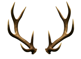 Pair of deer antlers isolated on transparent background