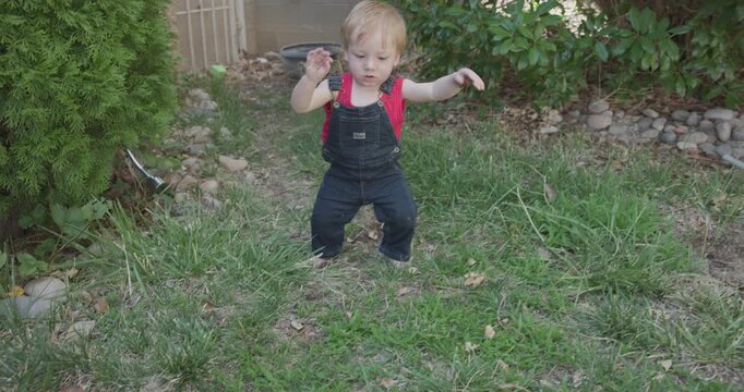 Small Babys First Steps