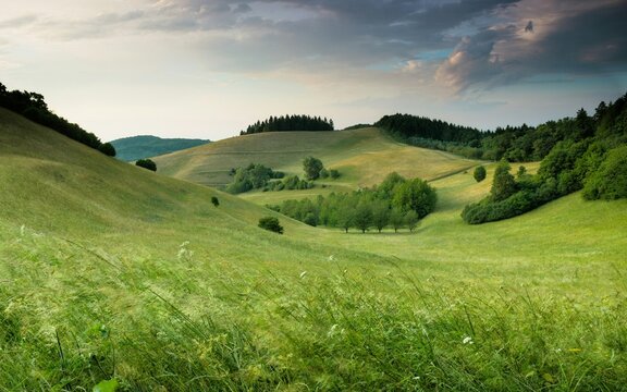 Rolling green hills stretching into the distance. The foreground features tall grasses swaying gently, adding texture and movement to the scene.
