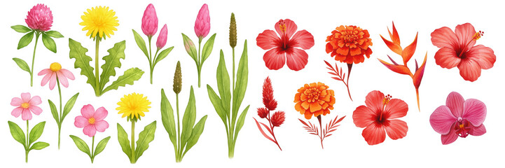 A vibrant collection of colorful flowers featuring pink, red, and yellow blooms.