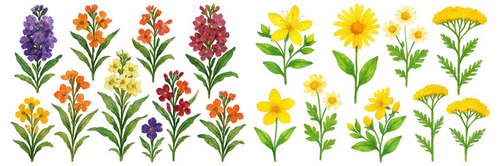 A vibrant selection of colorful flowers in various shapes and sizes, showcasing nature's beauty.