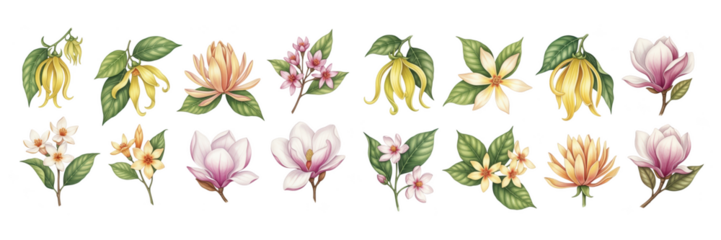 A vibrant collection of assorted flowers and leaves in various colors and styles.