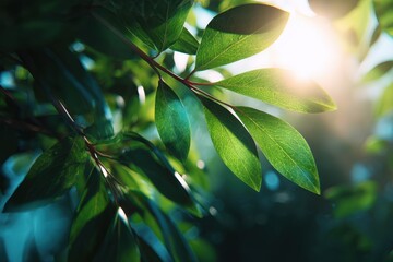 Obraz premium Sunlight filters through vibrant green leaves, illuminating the delicate textures and shapes in a peaceful forest setting during the early hours of the morning