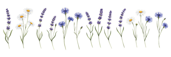 Naklejka premium A vibrant row of colorful flowers, including daisies and lavender, creating a cheerful atmosphere.