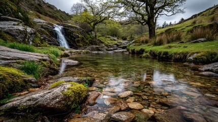 Clear stream cascading over rocks, tranquil scene