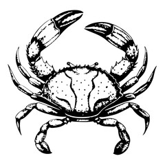 Geometric Low Poly Crab Vector Illustration