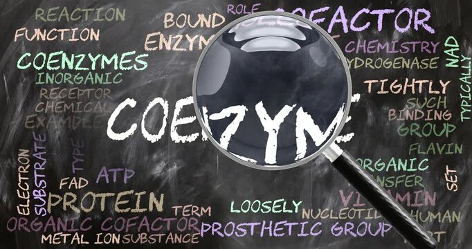 Coenzyme being studied, examined - under close inspection. Most important subjects and ideas closely related to coenzyme written on a blackboard inspected by a magnifying glass. Can be looped