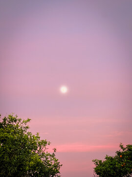 Visible moon during sunset
