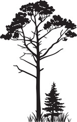 Obraz premium silhouettes of trees