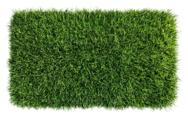 Artificial grass texture, a vibrant green lawn surface, isolated on transparent background, perfect for outdoor garden design