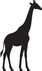 Giraffe silhouette vector for wildlife, safari, and nature design, decoration, and artwork projects.