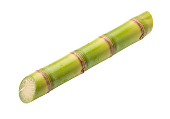 Fototapeta premium Close-up view of a sugar cane stalk.