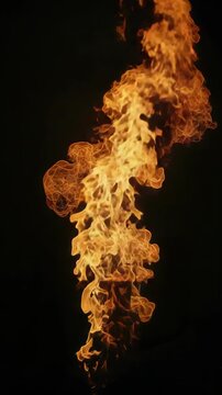 Burning stick figure forming the outline of a snake.