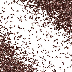 Fototapeta premium Scattered brown, rod-shaped particles against a black background.