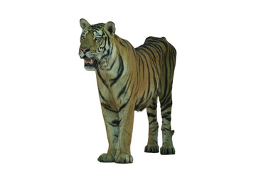 Bengal Tiger PNG [Panthera tigris tigris]. Majestic Big Cat Isolated for Wildlife, Nature, and Educational Designs