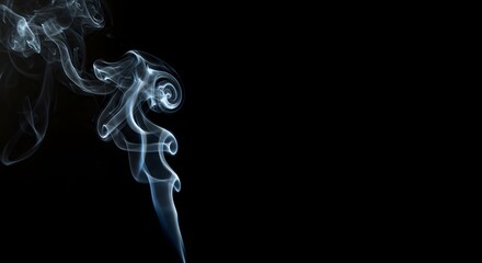 Obraz premium Elegant wisps of smoke dancing against a deep black background, creating a dramatic effect