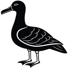 Albatross Silhouette