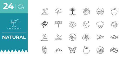 Nature Elements Icon Set
Eco Friendly Icon Collection.