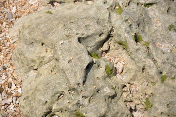 Texture beauty of the beach stone for background.