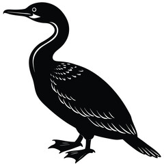 Cormorant Silhouette