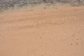Sand beach background. Top view. 
