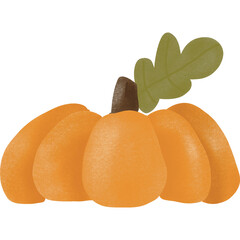 ripe apricots with leaves