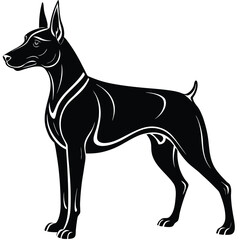 Obraz premium Doberman Silhouette
