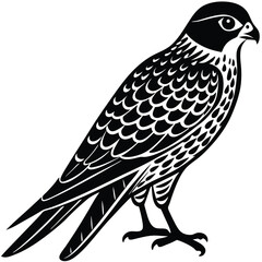 Fototapeta premium Kestrel Silhouette