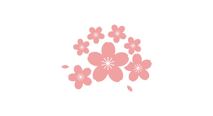 A cluster of pink cherry blossoms on a white background