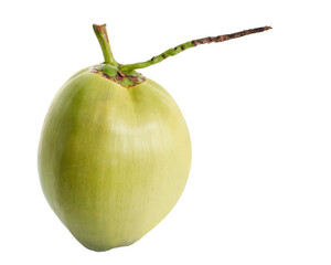Green Coconut , Coconut palm fruit isolated on white background, Clipping path
