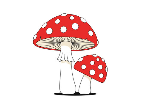 Illustrative depiction of two red and white spotted amanita muscaria fungi