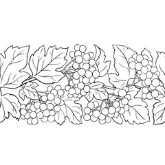 Guelder Rose Branch with Flowers, Berries and Leaves Outline Horizontal Seamless Pattern. Organic natural nutritional healthy food ingredient, vegetarian diet product. Vector isolated for design or de
