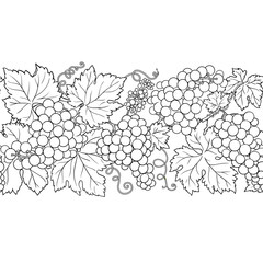 Grapes Branch with Flowers, Berries and Leaves Outline Horizontal Seamless Pattern. Organic natural nutritional healthy food ingredient, vegetarian diet product. Vector isolated for design or decorati