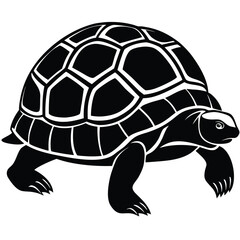 Tortoise Silhouette