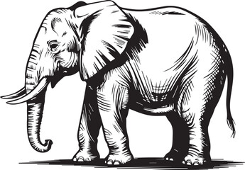 detailed black and white elephant vector illustration with intricate line shading for wildlife design