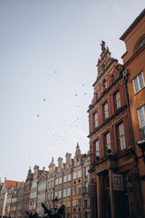 Fototapeta premium A unique low-angle shot of a row of ornate, historic gabled buildings in Gdansk, Poland, with a flock of birds flying in a pale blue sky.
