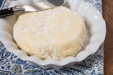 French cheeses collection, Saint-Felicien cow's milk cheese with white mold from Rhone-Alpes region of France