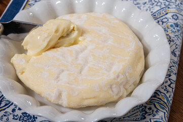 French cheeses collection, Saint-Felicien cow's milk cheese with white mold from Rhone-Alpes region of France