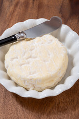 French cheeses collection, Saint-Felicien cow's milk cheese with white mold from Rhone-Alpes region of France